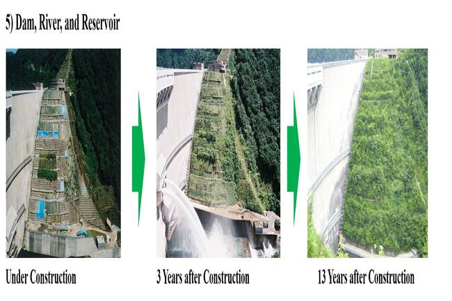 5-Dam-River-and-Reservoir-1.jpg