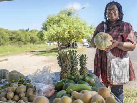Agriculture in SKN