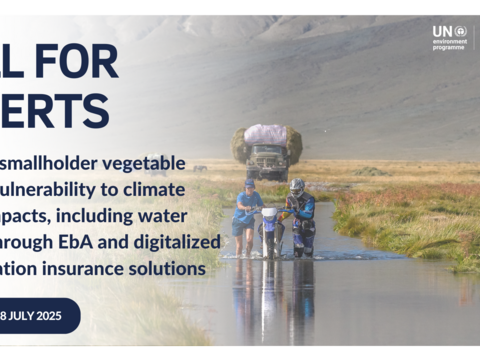 Call for experts: Reducing smallholder vegetable farmers' vulnerability to climate change impacts including water scarcity in Mongolia through EbA and digitalized risk mitigation insurance solutions