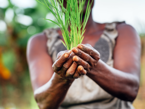 EU-CTCN programme Climate Change and Security