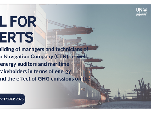 [RE] Call for Experts: Capacity building of managers & technicians of the Tunisian Navigation Company (CTN) as well as national energy auditors & maritime transport stakeholders in terms of energy transition & the effect of GHG emissions on the climate