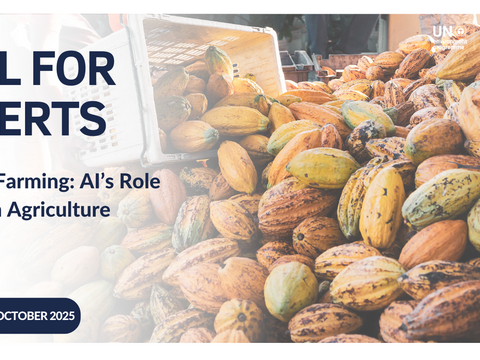 Call for Experts: Smarter Farming: AI’s Role in Ivorian Agriculture