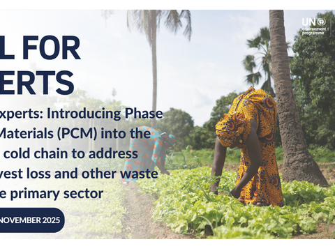 Call for experts: Introducing Phase Change Materials (PCM) into the Gambia's cold chain to address post-harvest loss and other waste across the primary sector