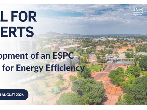 Call for Experts: Development of an Energy Saving Performance Contracting (ESPC) Model for Energy Efficiency in Government Buildings for Botswana
