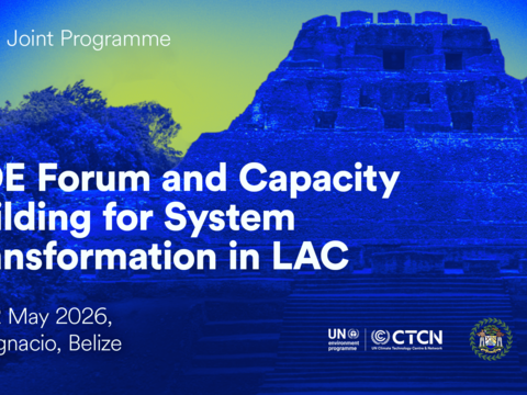LAC NDE Forum