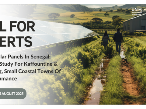 Call for experts: Floating Solar Panels In Senegal: Feasibility Study For Kaffountine & Diémbéring, Small Coastal Towns Of Lower Casamance
