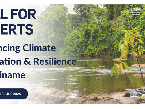 Call for Experts: Advancing Climate Innovation and Resilience in Suriname