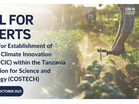 Call for Experts: Support for Establishment of Tanzania Climate Innovation Centre (TCIC) within the Tanzania Commission for Science and Technology (COSTECH)