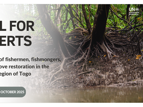 Call for experts: Resilience of fishermen, fishmongers, and mangrove restoration in the maritime region of Togo