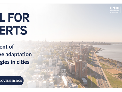 Call for experts: Assessment of innovative adaptation technologies in cities
