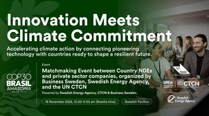 Business Sweden Matchmaking event